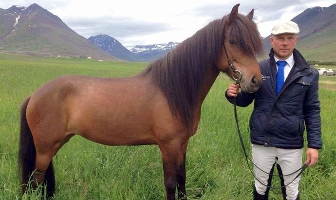Landsmót: Gold für Þota, Jörð, Viðja und Stefna