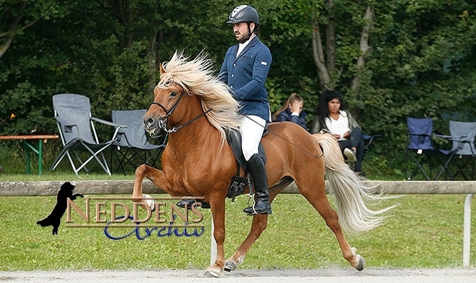 HIM: Lukas, Laura, Paulina, Carlotta auf Goldkurs