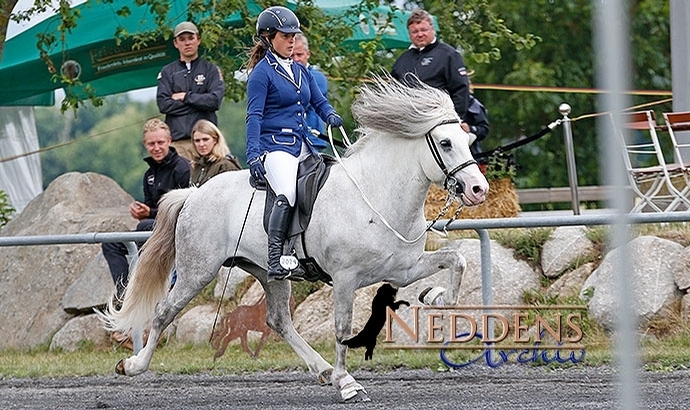 DIM: Catherina und Lea führen in Töltprüfung T2 …