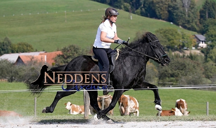 Semriach: Speedpass-Gold für Verena und Nina (YR)