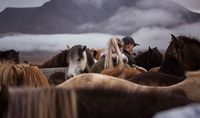 Expo: Galerie 3 der tollen Events im Skagafjörður