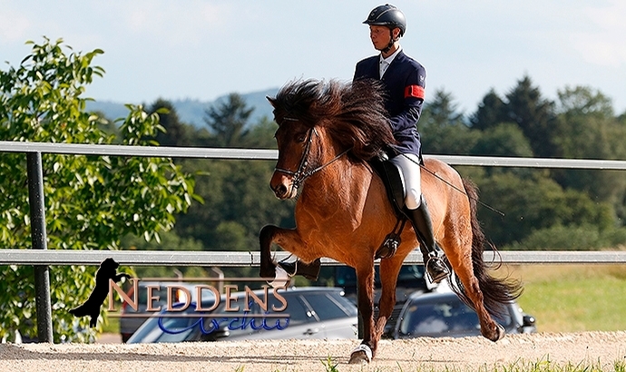 Sch’hof: Kaspar, Thorsten, Berni, Johanna, Estelle top