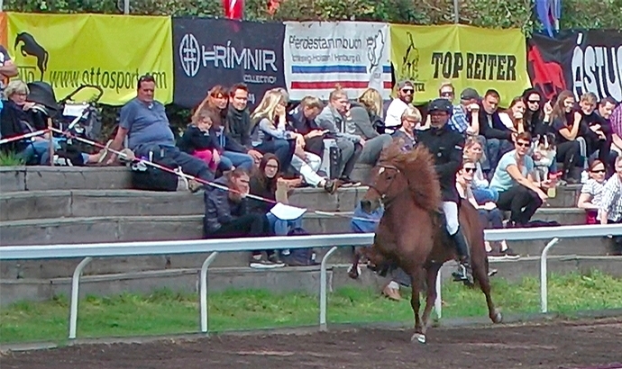 Nord: Spitzen für Thomas, Valeska, Clara und Meggie