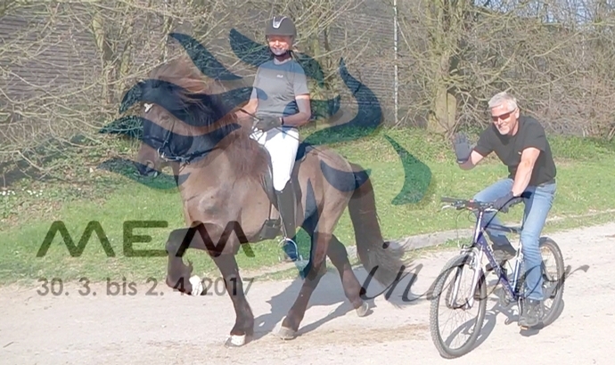 Stadl-Paura: Impressionen von Turniertag 2 / Videos