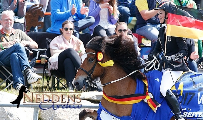 DIM: Johanna und Fönix gewinnen T2-Gold in Wurz