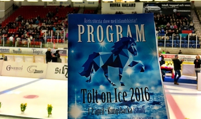 Tölt on Ice: Starterlisten für Eis-Viergang und -Tölt
