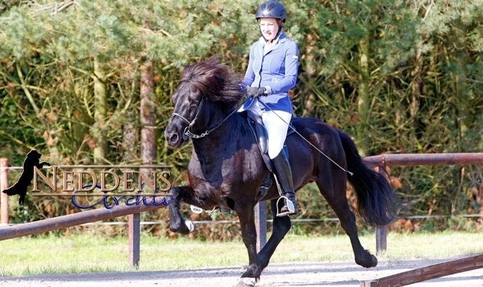 Sandheide: Topphoff, Wendt, Schmelter strahlen