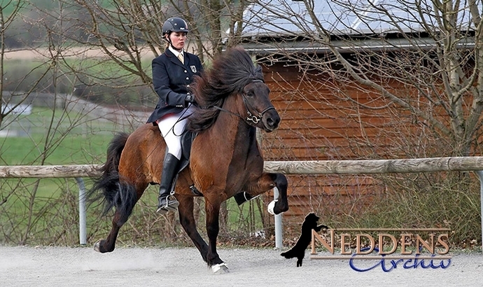 Ellenbach: 2 Futurity-Siege für Lisa, P2 an Jordan