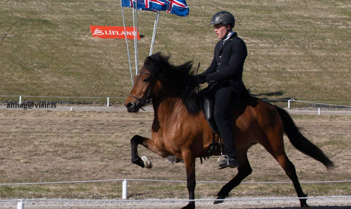 Sprettur: Live-Stream vom Gæðingamót (LM-Quali)