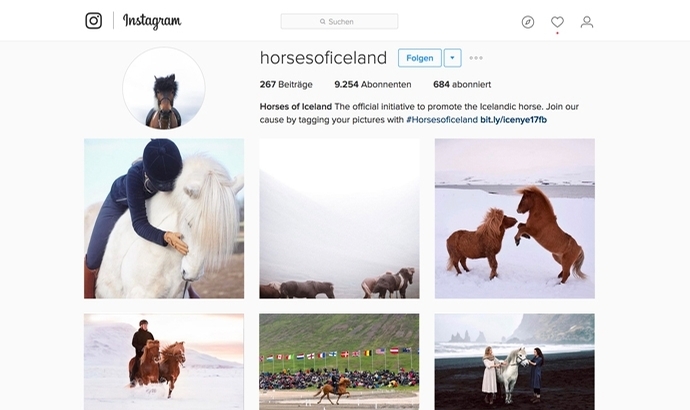 Tolles Instagram-Album bei den #horsesoficeland
