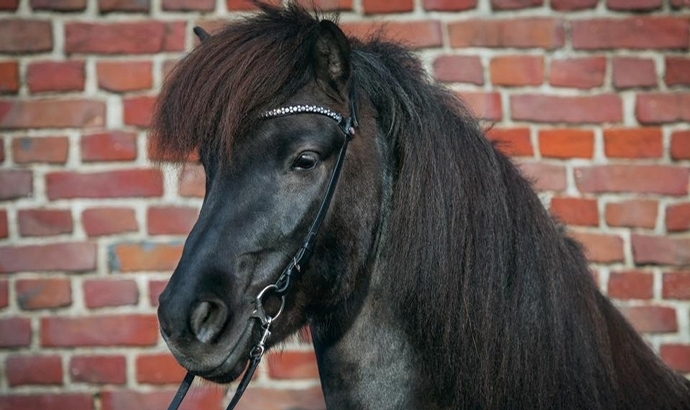 Magic Tack: Neuer Hit von Isi4Fun und Stübben