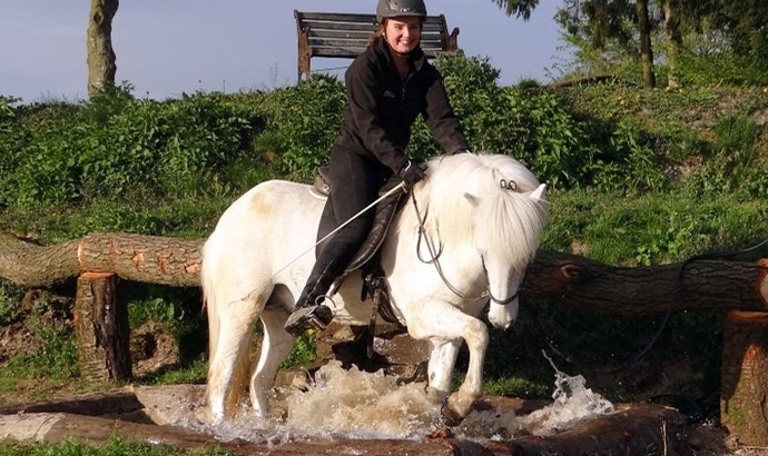 Aegidienberg lädt zum Horsemanship-Turnier