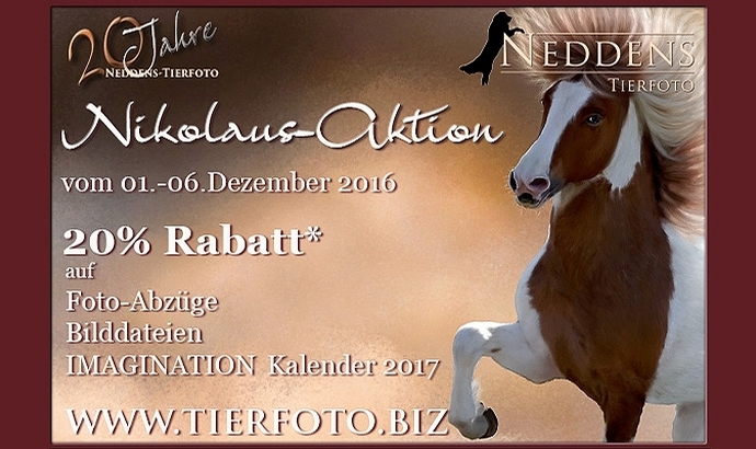 Neddens: Bis Nikolaus satte 20{6e0571321bf84447085bcf4b2e72e8dd0f99df932f5db3a0994e7e0e09674496} Foto-Discount