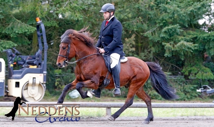 Sandheide: V1-Spitze an Anoush, Helen, Vincent