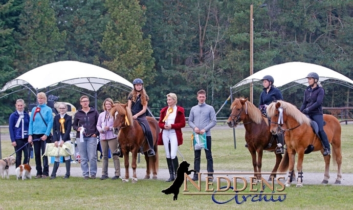 S’heide: Breuer, Júliusdóttir und Brengelmann jubeln