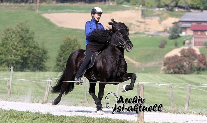 Semriach: Freude bei Piet, Hinni und Gitti / Updates