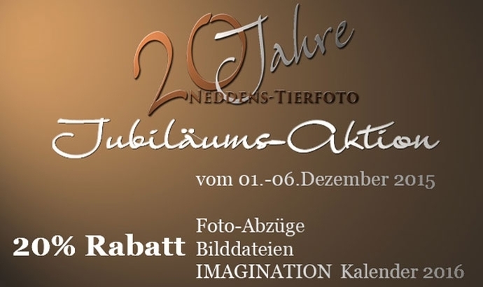 Neddens: 20 Prozent Rabatt zum 20. Geburtstag