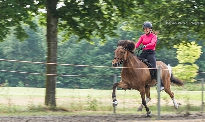 Exloo: Odette, Anne-Jet, Mieke, Charlotte WM-fit
