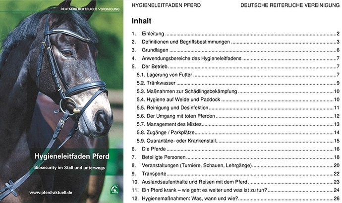 FN bietet ‘Hygieneleitfaden Pferd’ als Gratis-Download