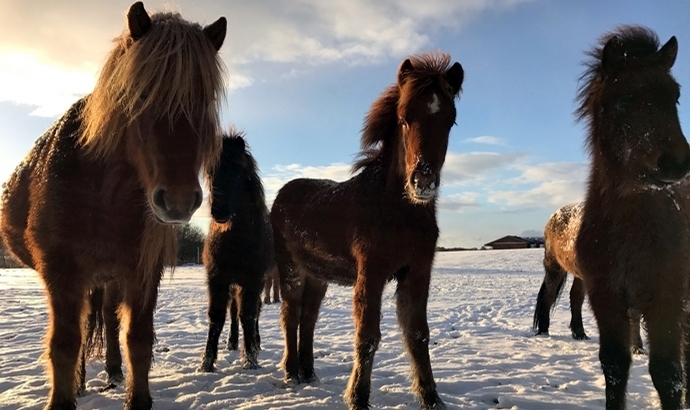 Winter-Impressionen? Zeigt Eure coolen Schnee-Pixel