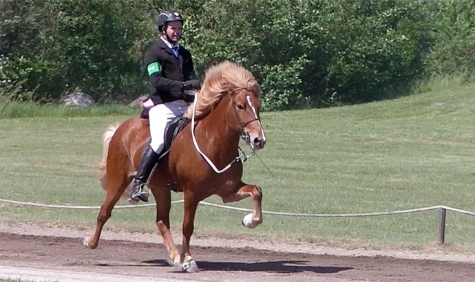 ISICUP: T2-Gold für Sasha und Jón / Update aus DK