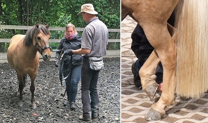 Haselhof-Lehrgang: Nicht zuviel denken … fühlen!