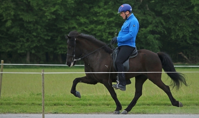 FIZO Vorsenzhof: Aktuelle Rankings & Freitags-Fotos
