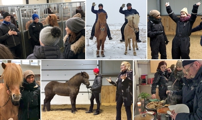 Expo MI: Austurkot, Fet, Kvistir und Strandarhöfuð