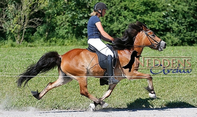 Brunnadern: Ladina packt PP1 vor Christian, Karin