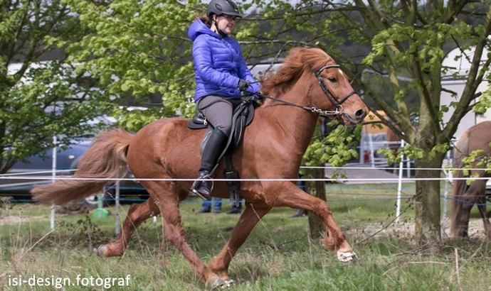 Stormur: 2x Saskia, Fenja, Ronja, Gwendolin obenauf