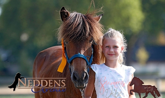 WiHo 2018: Neddens-Album von der Eifel-Action