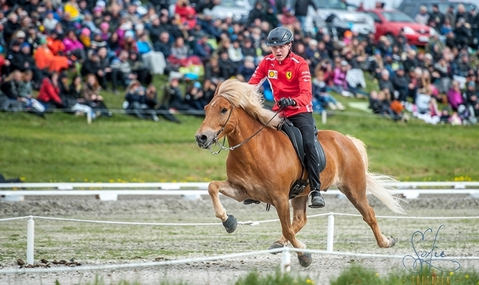 Irres Rennen mit 6x WR, Gold für Konni & Kjarkur