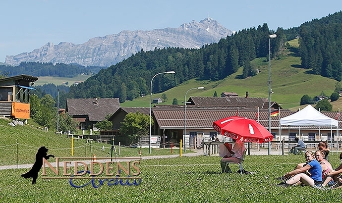 Schweiz: Video-Nachlese vom DO (T1, PP1, FIZO)