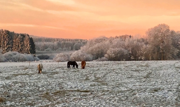Winter-Album, Teil eins: Danke für Eure Fotos!