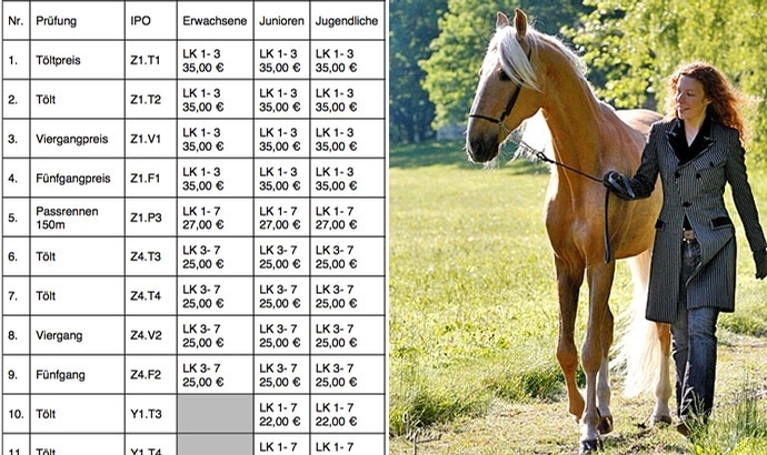 GeysirCup: Mitmachen und um 10.000 Euro reiten