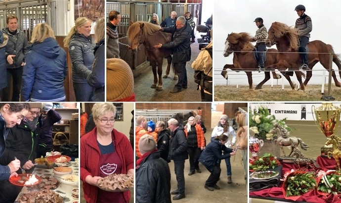 Expo FR: Árbakki, Kirkjubær und Árbæjarhjáleiga II