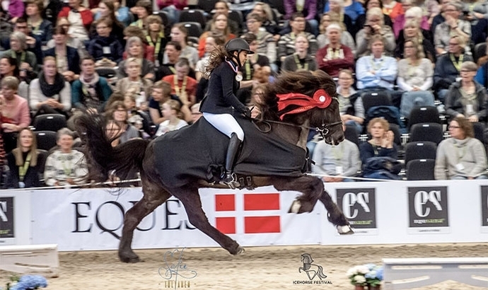 Herning: Steffi, Johanna, Anne Stine, Jeanette top