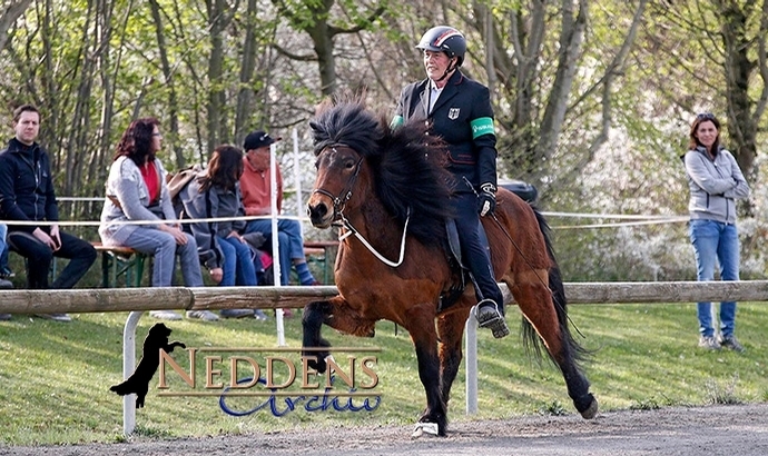 Ellenbach: Milena & Jolly geben in T3/T4 den Ton an