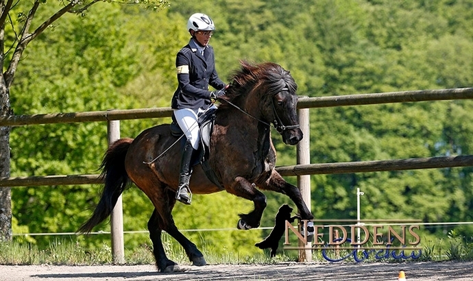 Kreiswald: Scheidler hoch 2, Gold für John und Gifi