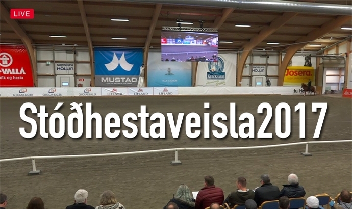 Stóðhestaveisla 2017 LIVE für Euch hier bei isibless