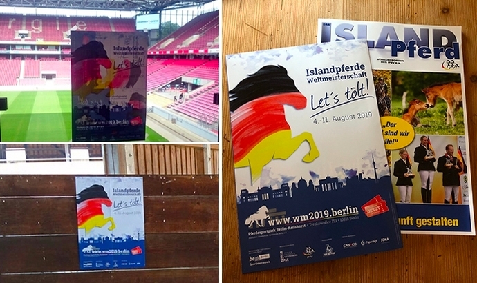 WM 2019: Poster im DIP, anpinnen, teilen, gewinnen