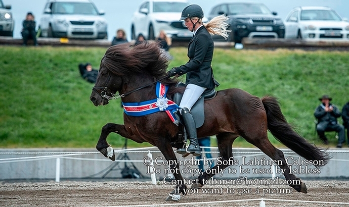 LM: Frami und Elin triumphieren im B-Flokkur