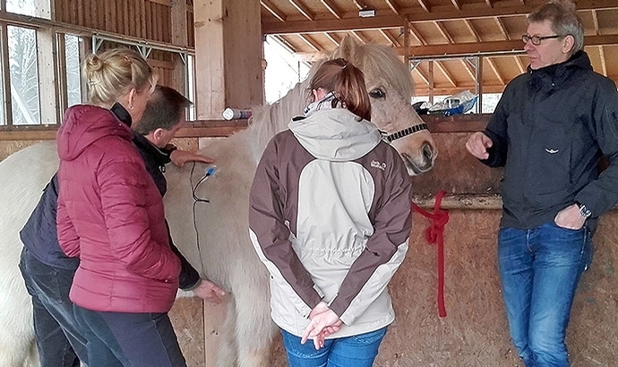 Mensch-Pferd-Beziehung: Wissenschaft auf Birkholz