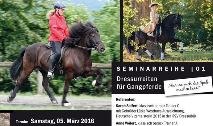 Island & Barock im Duett: Dressur-Lehrgang in F’furt