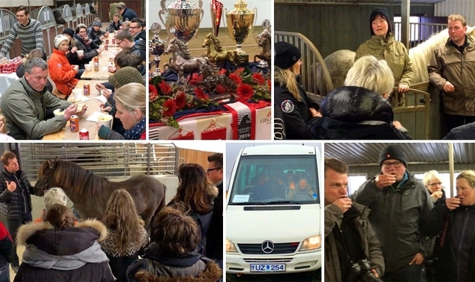 Expo zu Gast auf Árbakki, Kvistir und Austurkot