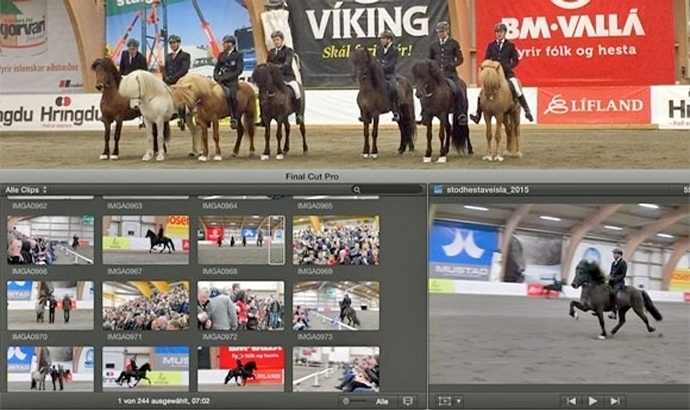Stóðhestaveisla 2015: Video-Highlights der Hengstschau