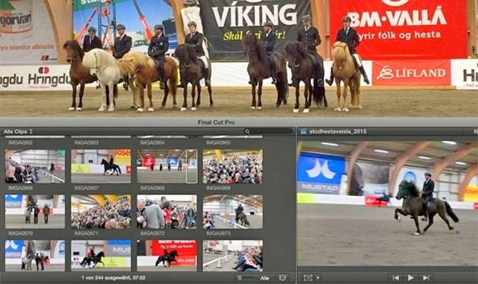 Stóðhestaveislan live: Hengstschau auf isibless