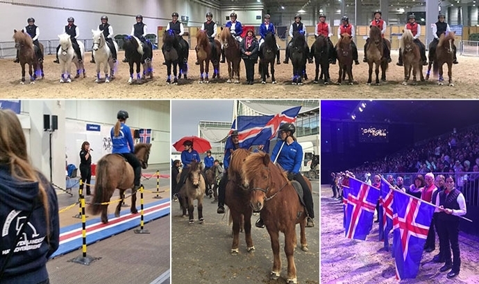 Pferd & Jagd: Islandpferd begeistert Gala-Publikum