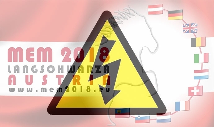 MEM fällt internem Disput zum Opfer, was nun?