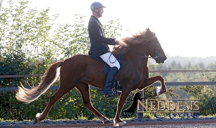 GPZ: Orka und Haukur im B-Flokkur vorn / Update
